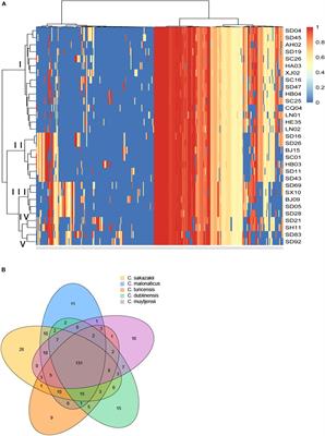 Genomic Analysis of Putative Virulence Factors Affecting Cytotoxicity of Cronobacter
